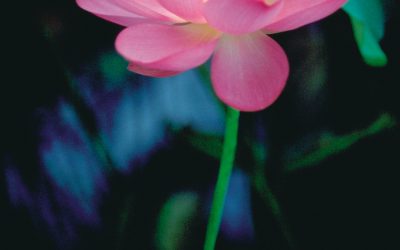 What is Deep Healing?