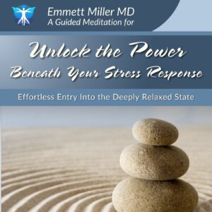 Unlock the Power Beneath Your Stress Response (Download)